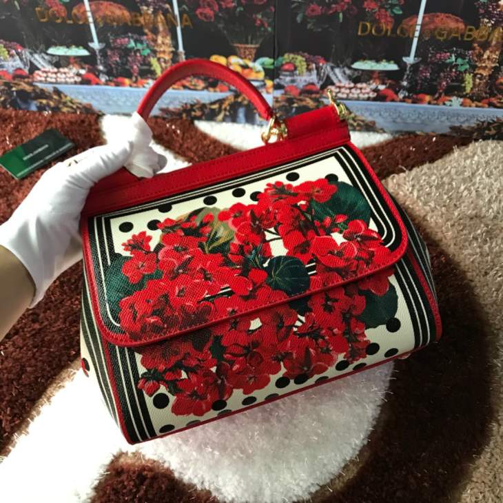 Picture of Dolce Gabbana Handbags _SKUfw69905956fw